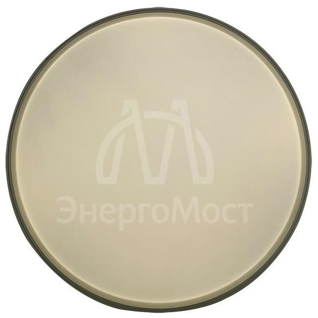 Светильник светодиодный PPB LUNA 60Вт 4000К IP20 d480х75 настенно-потолочный JazzWay 5049475