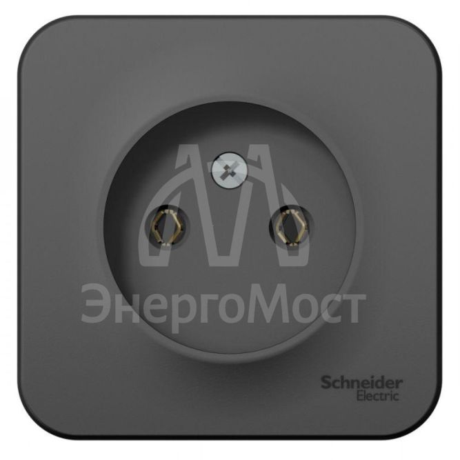Розетка 1-м ОП BLANCA 16А 250В без шторок без заземл. изол. пласт. антрацит SchE BLNRA000116