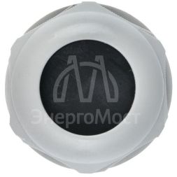 Сальник PG21 IP54 d отв. 27мм/d провод. 13-18мм PROxima EKF plc-pg-21-r