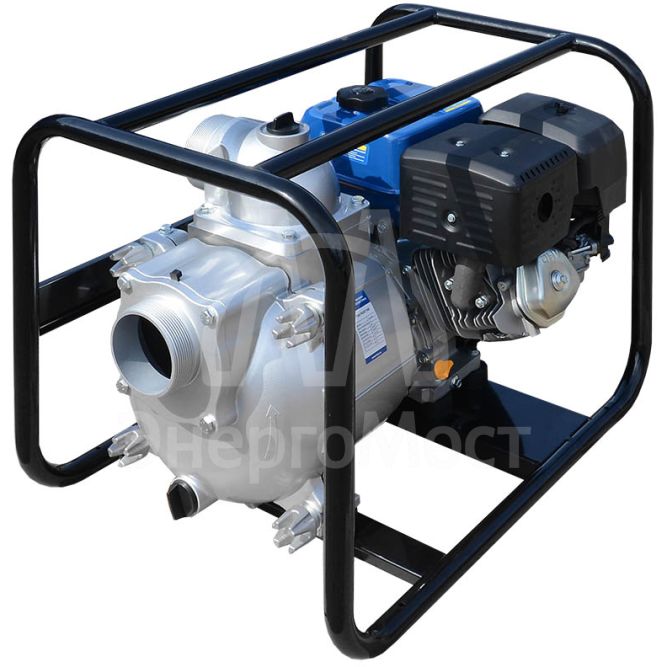 Мотопомпа TSS PGST100