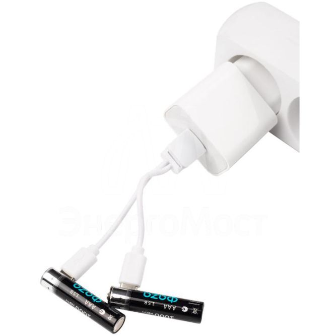 Аккумулятор литиевый AAA 1.5В Li-Ion 1000мА.ч зарядка от Type-C шнур в комплекте BL-2 (уп.2шт) ФАZА 5061637