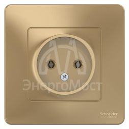 Розетка 1-м СП BLANCA 16А 250В без шторок без заземл. титан SchE BLNRS000014