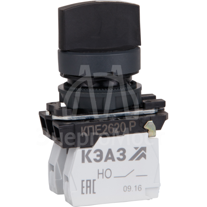 Переключатель КПЕ1611Р 1но+1нз ручка фикс 2поз IP65 черн. КЭАЗ 248268