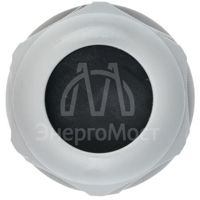 Сальник PG29 IP54 d отв. 36мм/d провод. 18-25мм PROxima EKF plc-pg-29-r