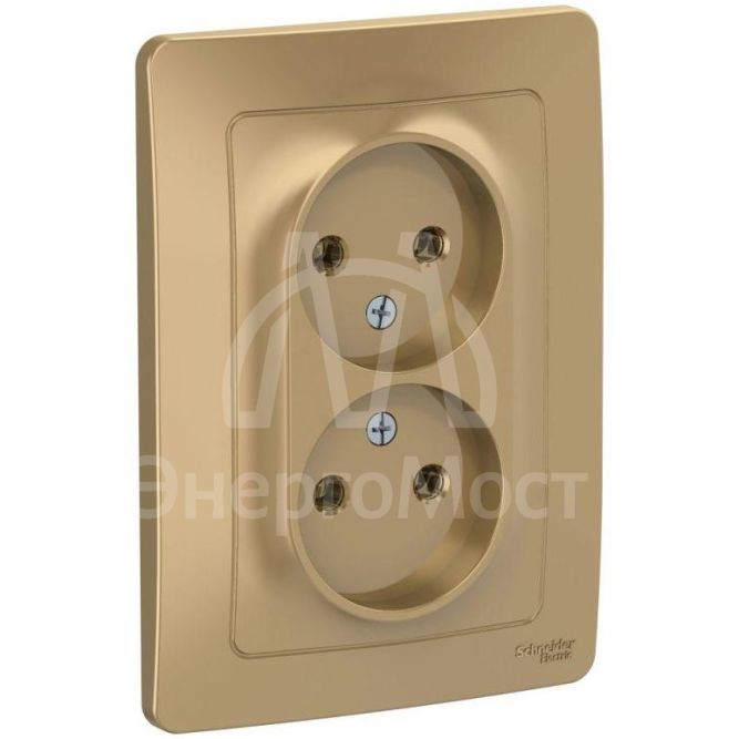 Розетка 2-м СП BLANCA 16А 250В без шторок без заземл. титан SchE BLNRS000024