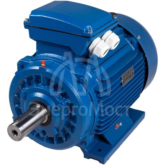 Электродвигатель АИР 225 (55 кВт 1500 об/мин) М4 IM 1001 на лапах