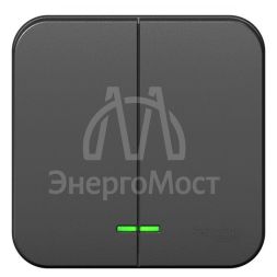 Выключатель 2-кл. ОП Blanca 10А IP20 (сх. 5) 250В с подсветкой с изолир. пластиной антрацит SE BLNVA105116