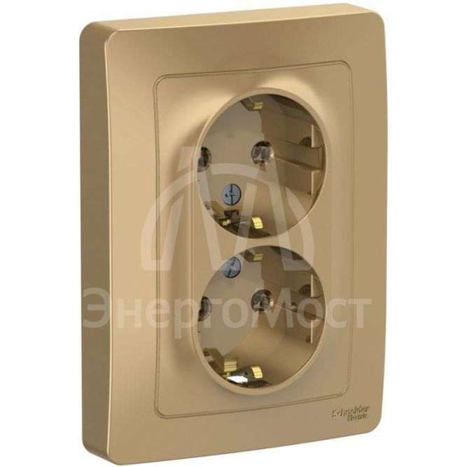 Розетка 2-м СП BLANCA 16А 250В без шторок с заземл. титан SchE BLNRS001024