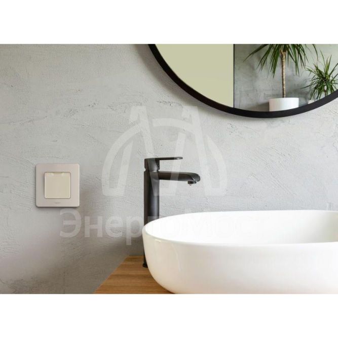 Розетка 1-м СП Inspiria 16А IP44 250В 2P+E защ. шторки с крышкой немецк. стандарт сл. кость Leg 673741