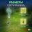 Светильник садовый неоновый ERASF012-31 Кактус солнечная батарея ЭРА Б0044239