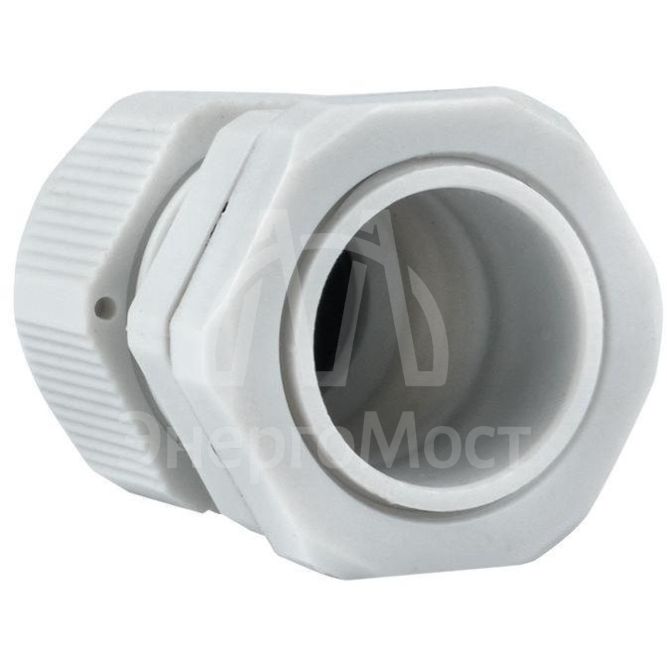 Ввод кабельный (сальник) PG13.5 IP54 EKF plc-pg-13.5