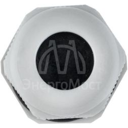 Ввод кабельный (сальник) PG13.5 IP54 EKF plc-pg-13.5