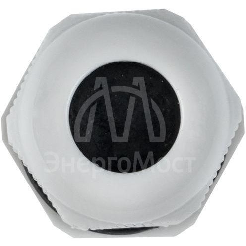 Ввод кабельный (сальник) PG13.5 IP54 EKF plc-pg-13.5