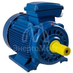 Электродвигатель АИР 250 (75 кВт 3000 об/мин) S2 IM 1001 на лапах
