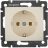 Механизм розетки 1-м СП Valena с заземл. сл. кость Leg 774320