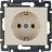 Механизм розетки 1-м СП Valena с заземл. сл. кость Leg 774320