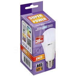 Лампа светодиодная PLED-SP A65 30Вт 5000К E27 230/50 Jazzway 5019720
