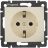 Механизм розетки 1-м СП Valena защ. шторки с заземл. сл. кость Leg 774321
