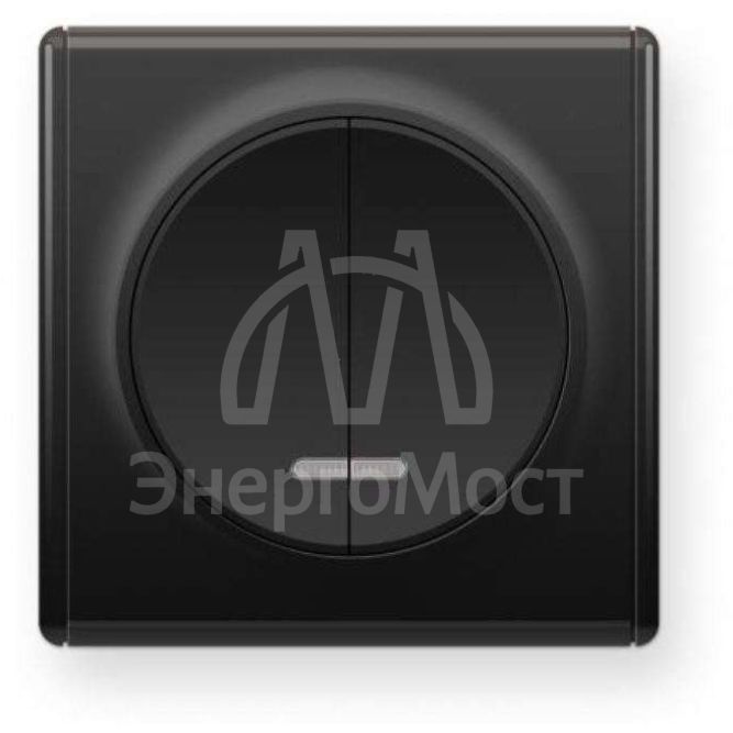 Механизм выключателя 2-кл. СП Florence 10А IP20 с подсветкой черн. 1E31801303 OneKeyElectro 2172825