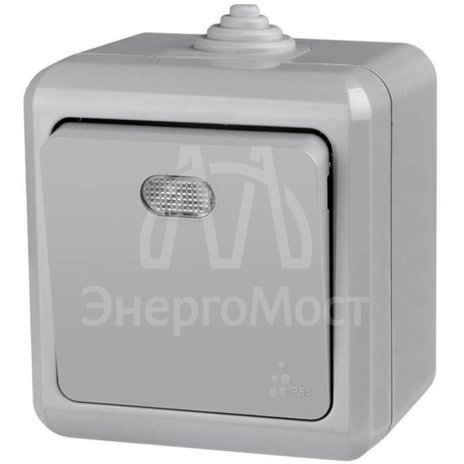 Выключатель 1-кл. ОП Dita IP54 10А 250В с индикацией сер. TOKOV LIGHT TKL-DT-V1I-C06-IP54