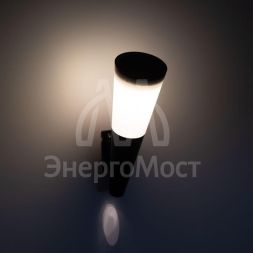 Светильник светодиодный ERAFS012-09 &amp;quot;Факел&amp;quot; 1LED RGB уличный настенный на солнечн. батарее Эра Б0057596