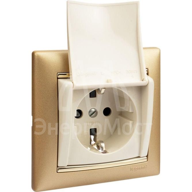 Механизм розетки 1-м СП Valena с защ. крышкой защ. шторки с заземл. сл. кость Leg 774322