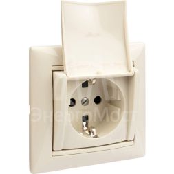 Механизм розетки 1-м СП Valena с защ. крышкой защ. шторки с заземл. сл. кость Leg 774322