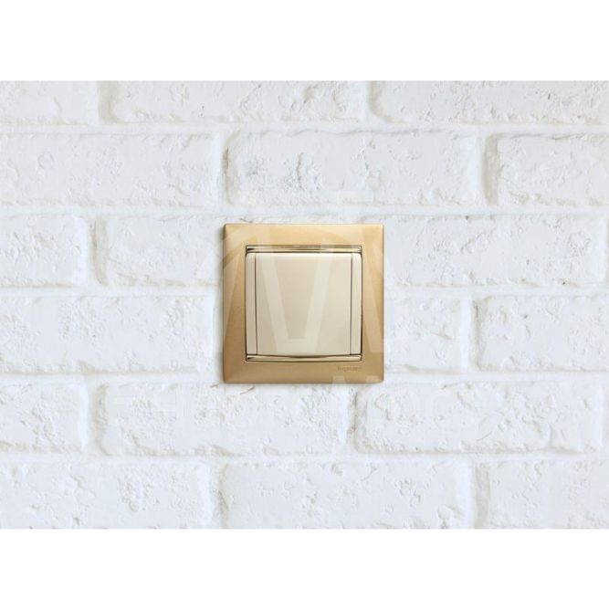 Механизм розетки 1-м СП Valena с защ. крышкой защ. шторки с заземл. сл. кость Leg 774322