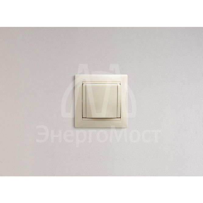 Механизм розетки 1-м СП Valena с защ. крышкой защ. шторки с заземл. сл. кость Leg 774322