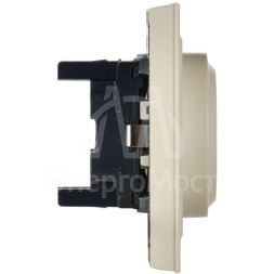 Розетка 2-м СП BRITE РС12-3-БрКр 16А в сборе с заземл. без защ. шторок беж. IEK BR-R21-16-K10-F