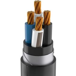 Кабель TOKOV ELECTRIC ВБШвнг(А)-LS 4х16 МК (N) 1кВ (м) УТ000030950