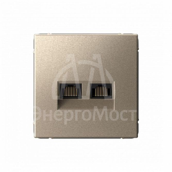 Розетка компьютерная 2-м ArtGallery RJ45 + RJ45 кат.5E механизм шампань SE GAL000585