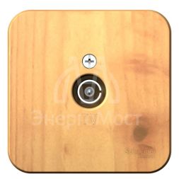 Розетка телевизионная TV ОП Blanca коннектор с изолир. пластиной ясень SE BLNTA000015