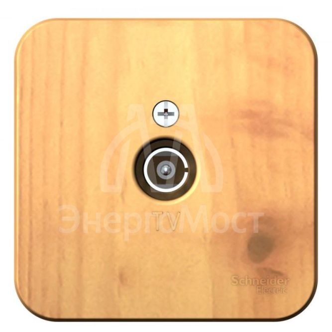 Розетка телевизионная TV ОП Blanca коннектор с изолир. пластиной ясень SE BLNTA000015