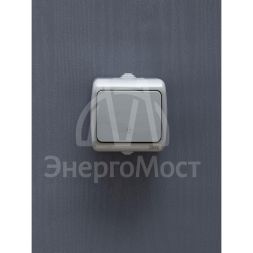 Выключатель проходной 1-кл. 1п ОП Aquatic 10А IP54 ВС-20-1-2-А сер. IEK EVA12-K03-10-54