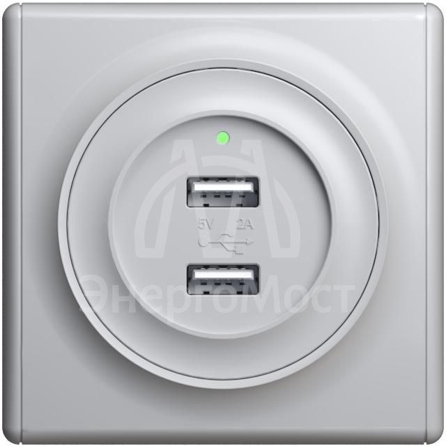 Розетка USB 2-м СП Florence 16А IP20 с подсветкой механизм сер. 1E10351302 OneKeyElectro 2260091
