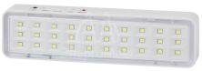 Светильник светодиодный DBA-101-0-20 30LED 5ч IP20 аварийный непостоянный Эра Б0044394