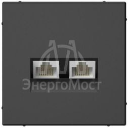 Розетка компьютерная 2-м ArtGallery RJ45 + RJ45 кат.5E механизм базальт SE GAL001485