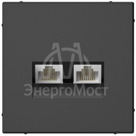 Розетка компьютерная 2-м ArtGallery RJ45 + RJ45 кат.5E механизм базальт SE GAL001485