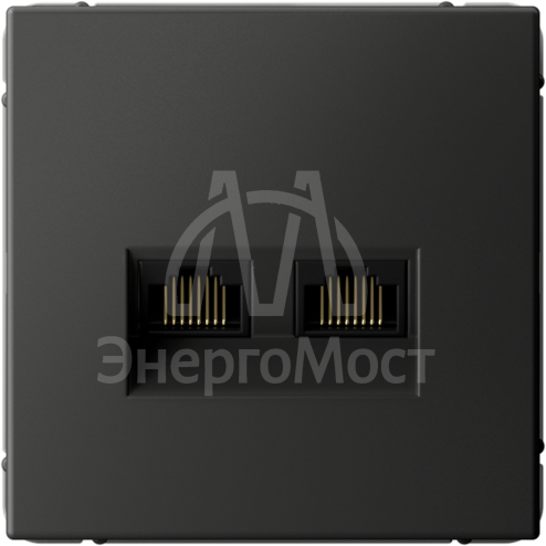 Розетка компьютерная 2-м ArtGallery RJ45 + RJ45 кат.5E механизм базальт SE GAL001485