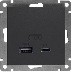 Розетка 2-м USB СП Афина тип А+С 5В 1х2.4А 2х4А механизм графит Universal А0059-Gr