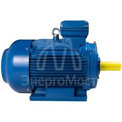 Электродвигатель АИР 280 (110 кВт 3000 об/мин) S2 IM 1001 на лапах
