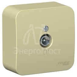 Розетка телевизионная TV ОП Blanca коннектор с изолир. пластиной беж. SE BLNTA000017