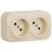 Розетка 2-м ОП Quteo 16А IP20 250В 2х2P без заземл. без защ. шторок сл. кость Leg 782261