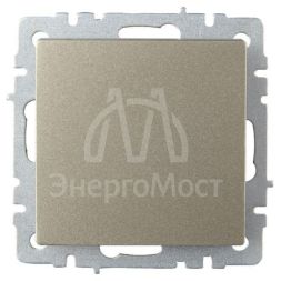 Выключатель перекрестный 1-кл. СП BRITE 10А ВС10-1-3-БрБ шампань IEK BR-V13-0-10-K37