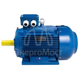 Электродвигатель АИР 280 (132 кВт 1500 об/мин) М4 IM 1001 на лапах