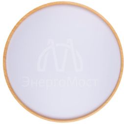 Светильник светодиодный декоративный PPB PINE 60Вт 4000К IP20 D485х75 настенно-потолочный бытовой JazzWay 5052666