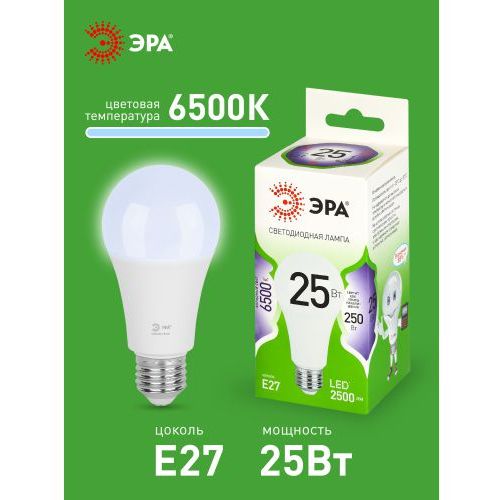 Лампа светодиодная GREEN LINE A60-25W-865-E27 GL 25Вт груша 6500К свет холод. E27 Эра Б0067111