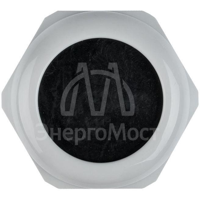 Сальник PG36 IP54 EKF plc-pg-36