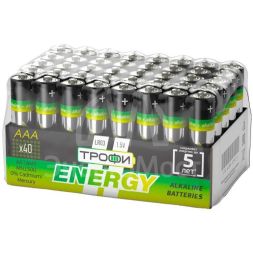 Элемент питания алкалиновый AAA/LR03-40 bulk Eco (уп.40шт) Трофи Б0027812